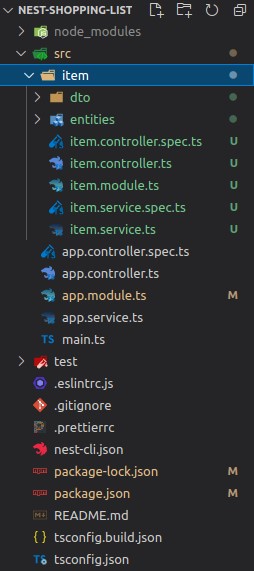 Inside Nestjs project